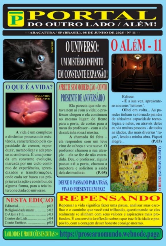 PORTAL Nº 11 - 08/06 